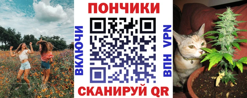 Цена Пудож Альфа ПВП  КОКАИН  Галлюциногенные грибы  Героин  ГАШИШ  Конопля  Мефедрон  Амфетамин 