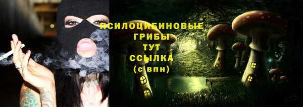 спиды Магадан