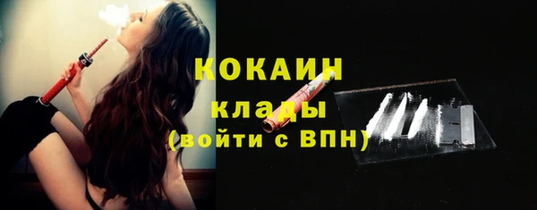 хмурый Куртамыш