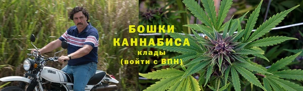 spice Медвежьегорск