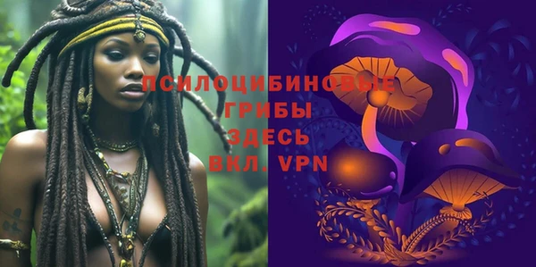 ешки Кропоткин