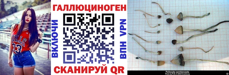 Псилоцибиновые грибы ЛСД  Пудож 